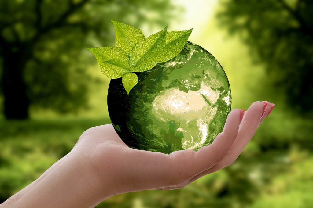 Consulenza Ambientale: promuovere la sostenibilità aziendale