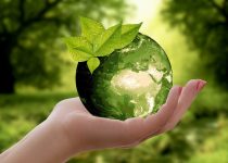 Consulenza Ambientale: promuovere la sostenibilità aziendale